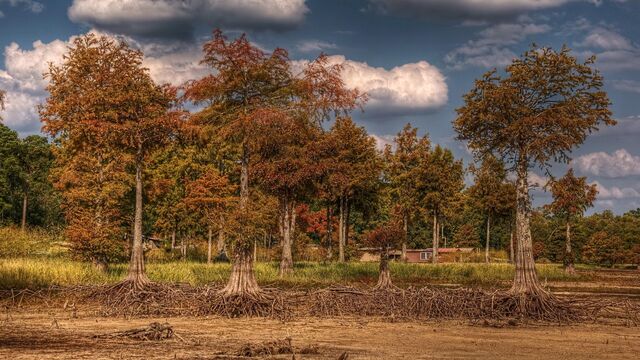 Обои 2025-09-27 №70916