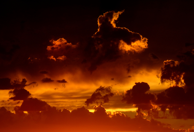 Обои 2025-09-28 №70974