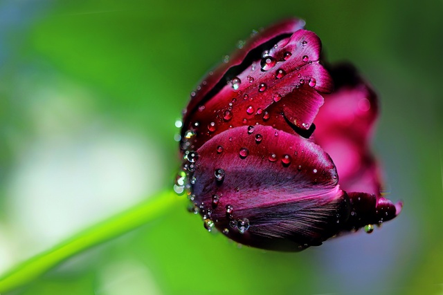 Обои 2025-09-28 №70979