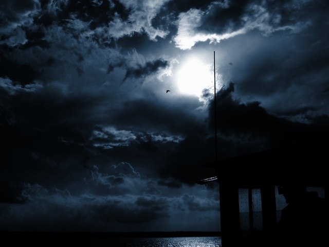 Обои 2025-09-29 №71054