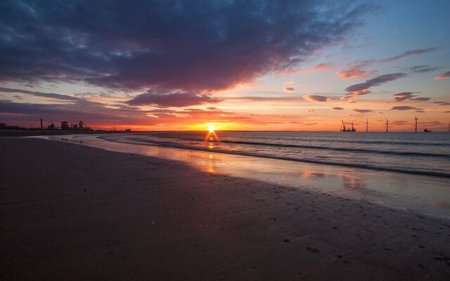 Обои 2025-09-29 №71076