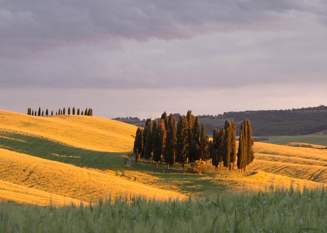 Обои 2025-09-29 №71087