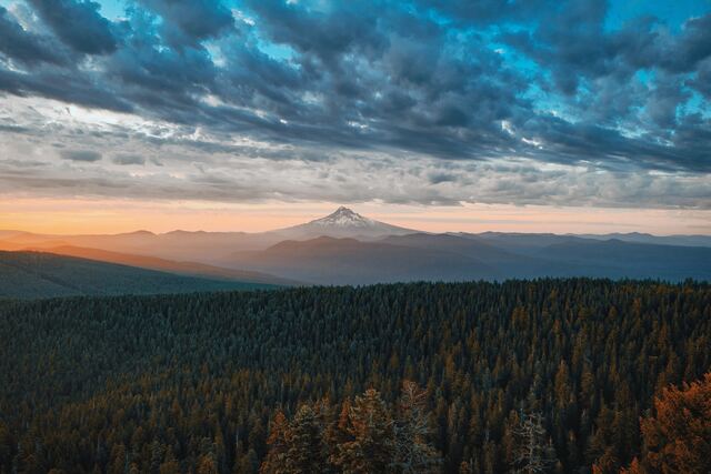 Обои 2025-09-30 №71136