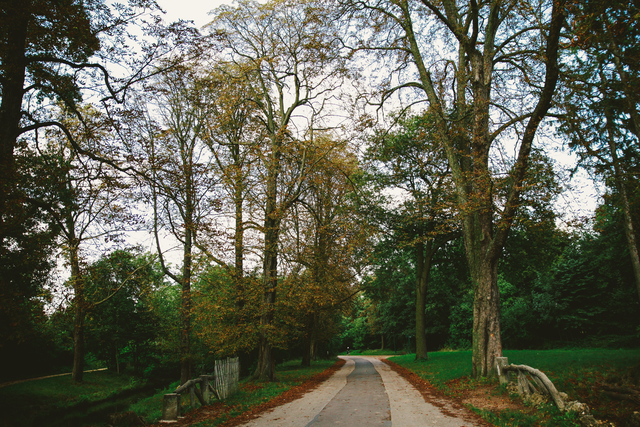 Обои 2025-09-30 №71184