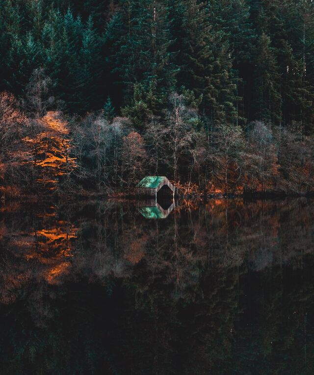 Обои 2025-10-01 №71202