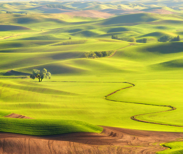 Обои 2025-10-01 №71233