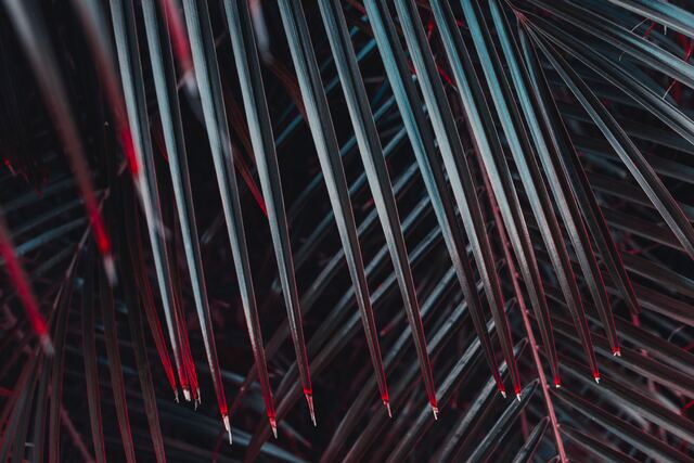 Обои 2025-10-02 №71318