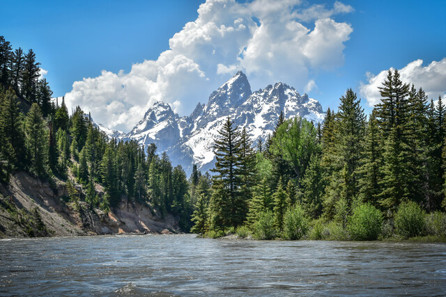 Обои 2025-10-02 №71347