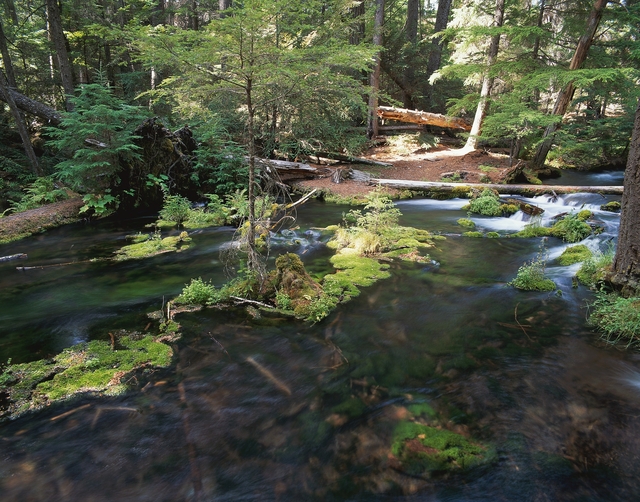 Обои 2025-10-02 №71345