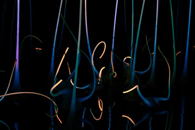 Обои 2025-10-02 №71370