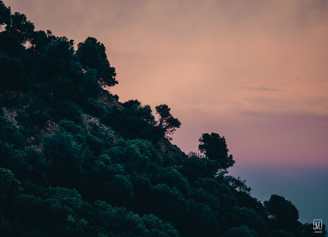 Обои 2025-10-02 №71361