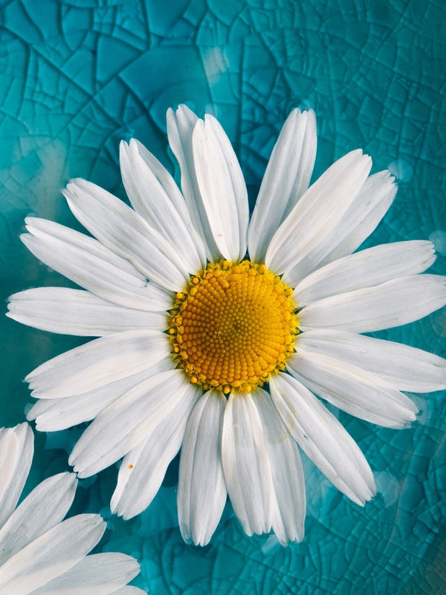 Обои 2025-10-03 №71437