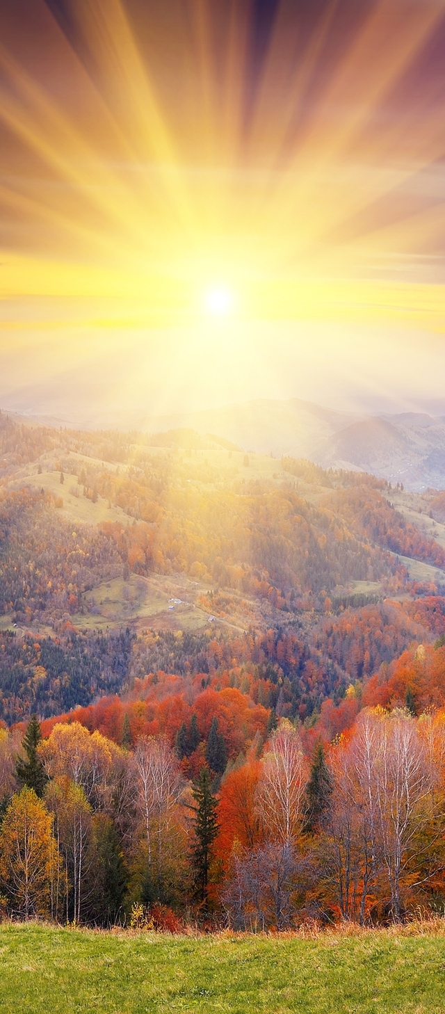 Обои 2025-10-04 №71446