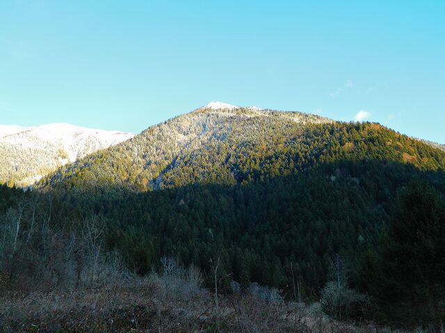 Обои 2025-10-04 №71459