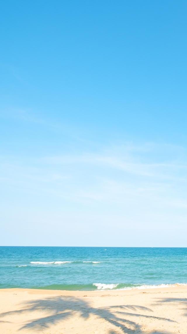 Обои 2025-10-04 №71495