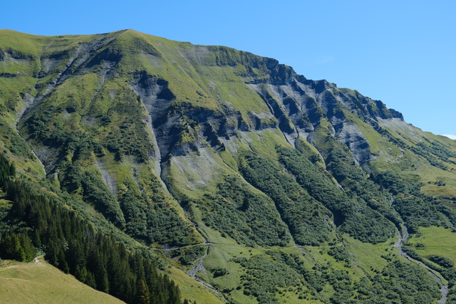 Обои 2025-10-04 №71515