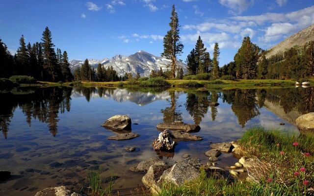 Обои 2025-10-05 №71527