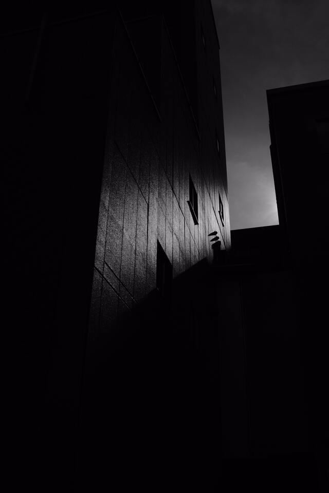 Обои 2025-10-05 №71582