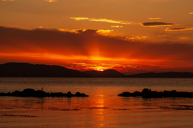 Обои 2025-10-05 №71583