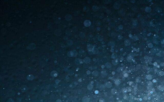 Обои 2025-10-05 №71603