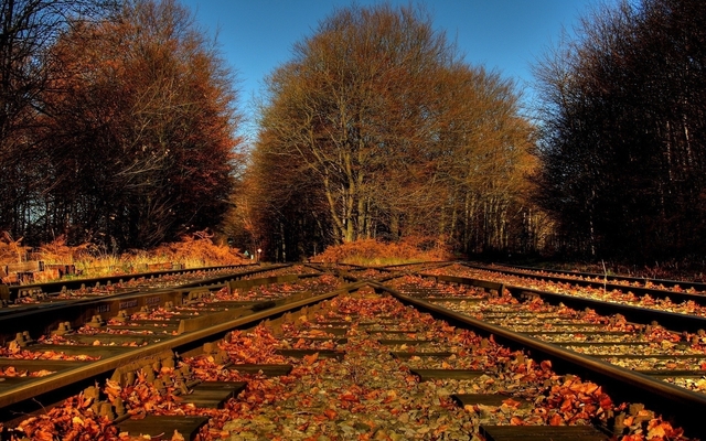 Обои 2025-10-05 №71598