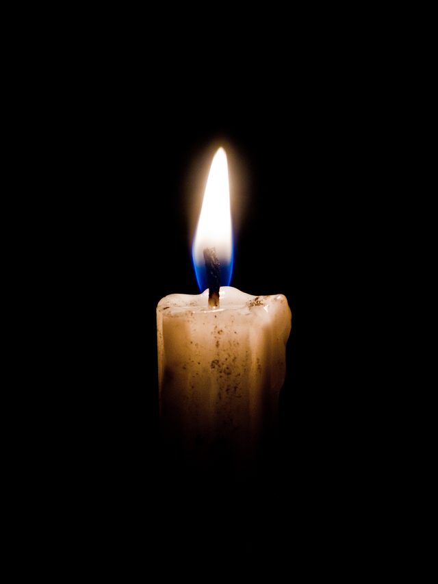 Обои 2025-10-06 №71624