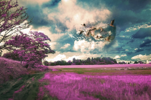 Обои 2025-10-06 №71635