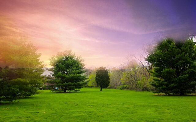 Обои 2025-10-06 №71646