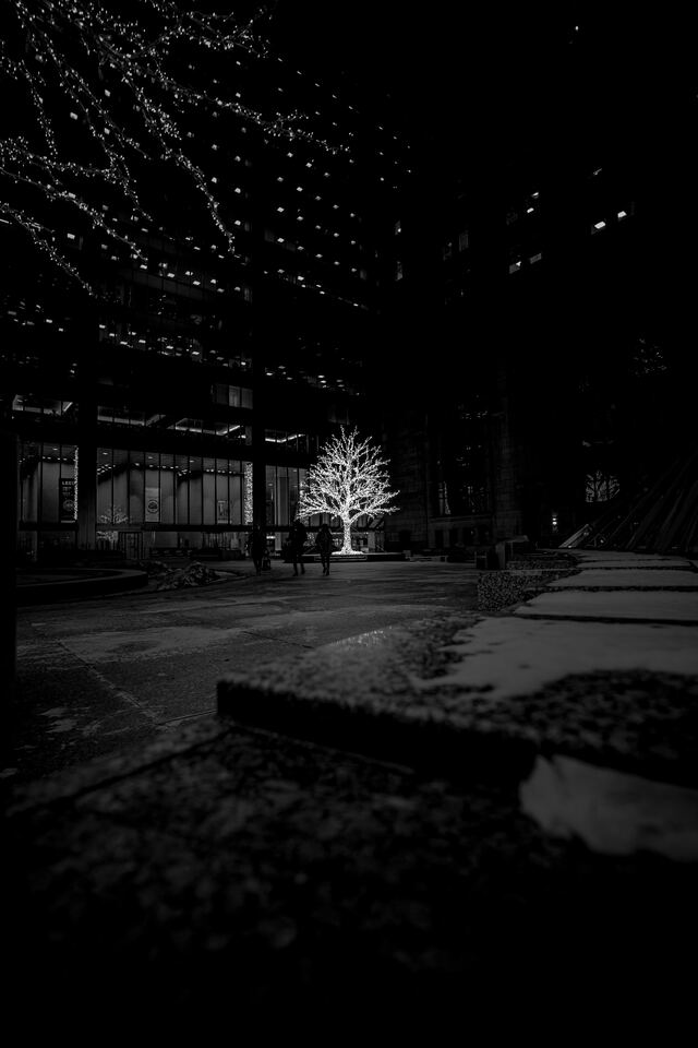 Обои 2025-10-06 №71675