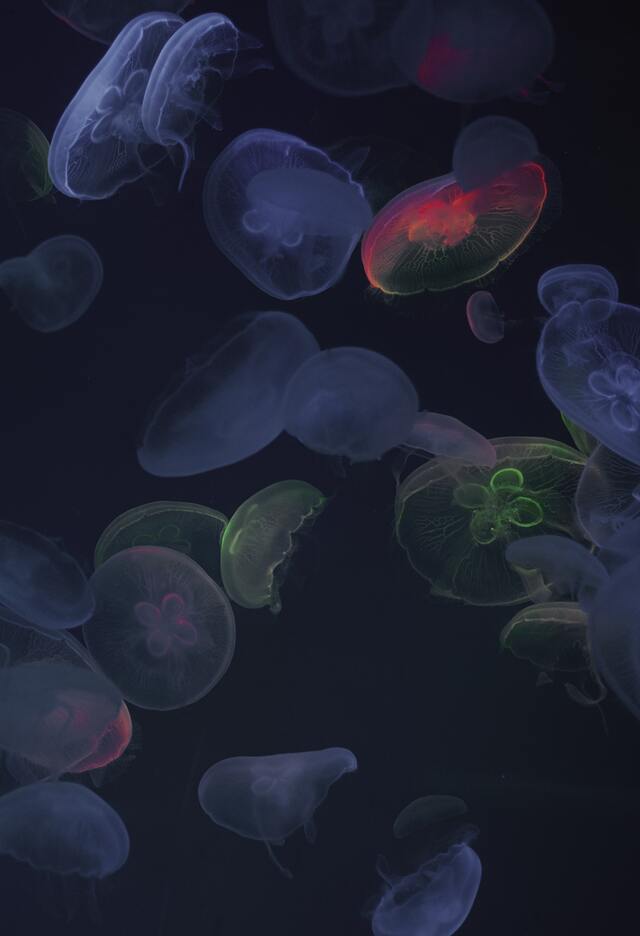 Обои 2025-10-06 №71673