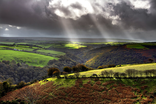 Обои 2025-10-08 №71759