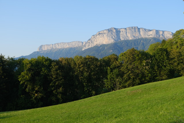 Обои 2025-10-08 №71781