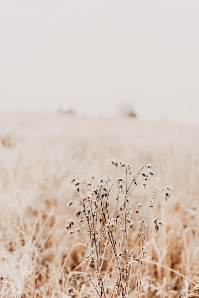 Обои 2025-10-08 №71804