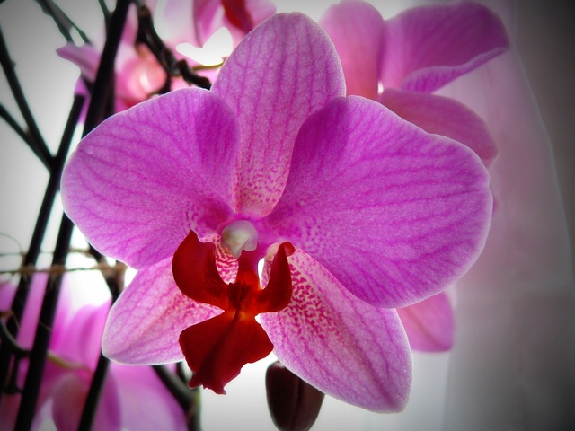 Обои 2025-10-09 №71839