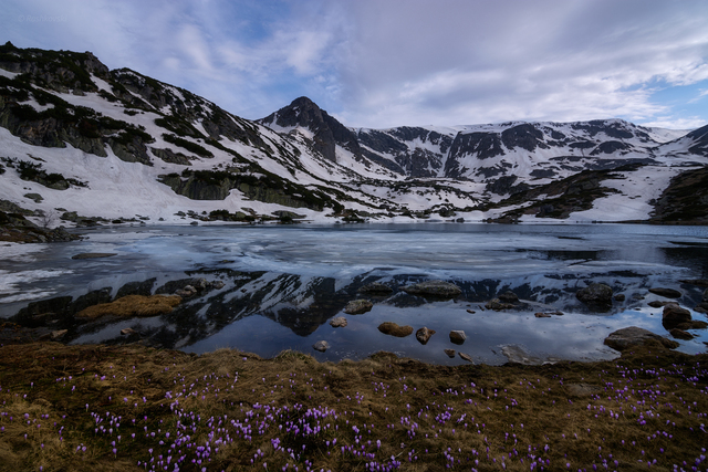 Обои 2025-10-09 №71852