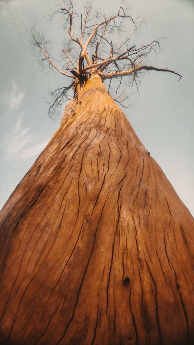 Обои 2025-10-09 №71878