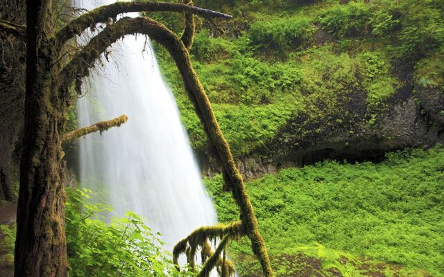 Обои 2025-10-09 №71902