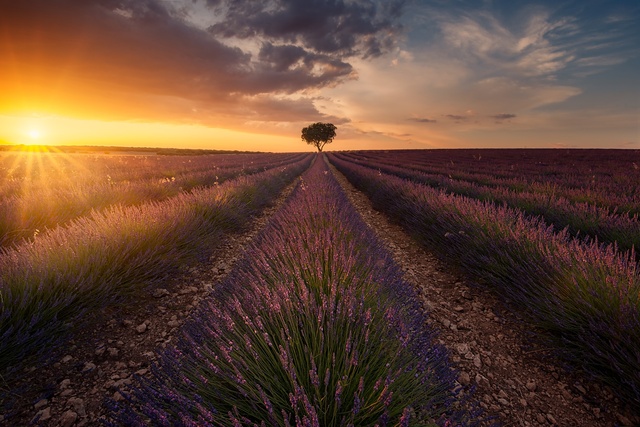 Обои 2025-10-10 №71928