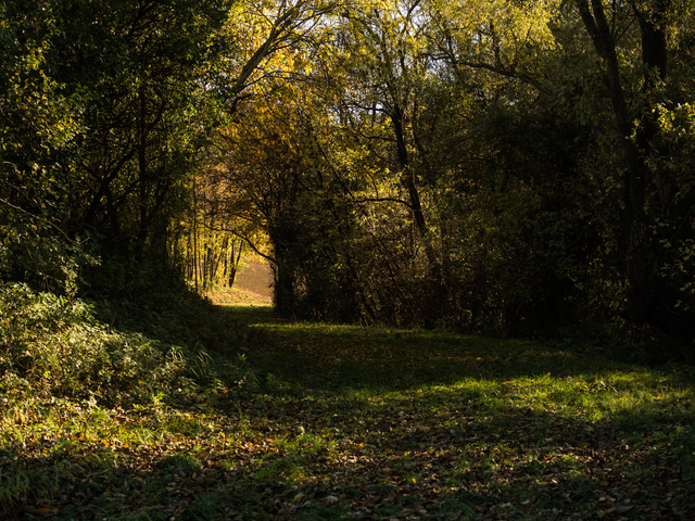 Обои 2025-10-10 №71940