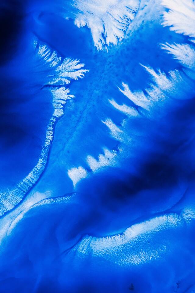 Обои 2025-10-10 №71942