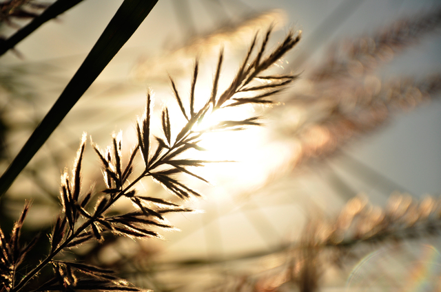 Обои 2025-10-10 №71952