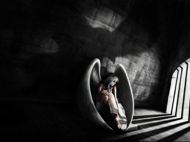 Обои 2025-10-11 №72001