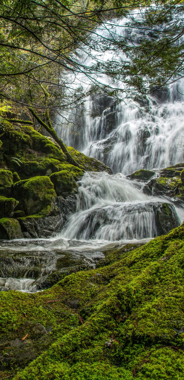 Обои 2025-10-11 №72019