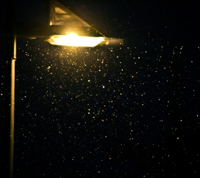 Обои 2025-10-11 №72025