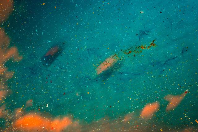 Обои 2025-10-12 №72067