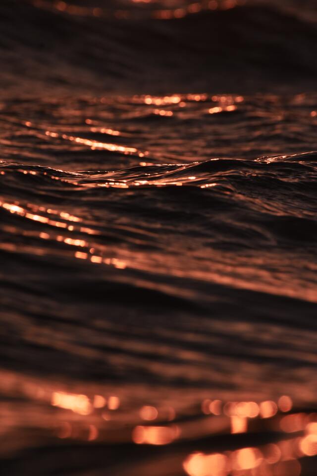 Обои 2025-10-12 №72062