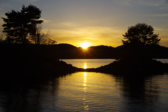 Обои 2025-10-12 №72074