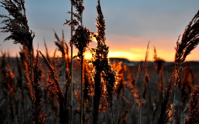 Обои 2025-10-12 №72097