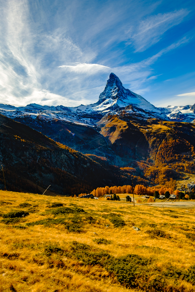 Обои 2025-10-12 №72113