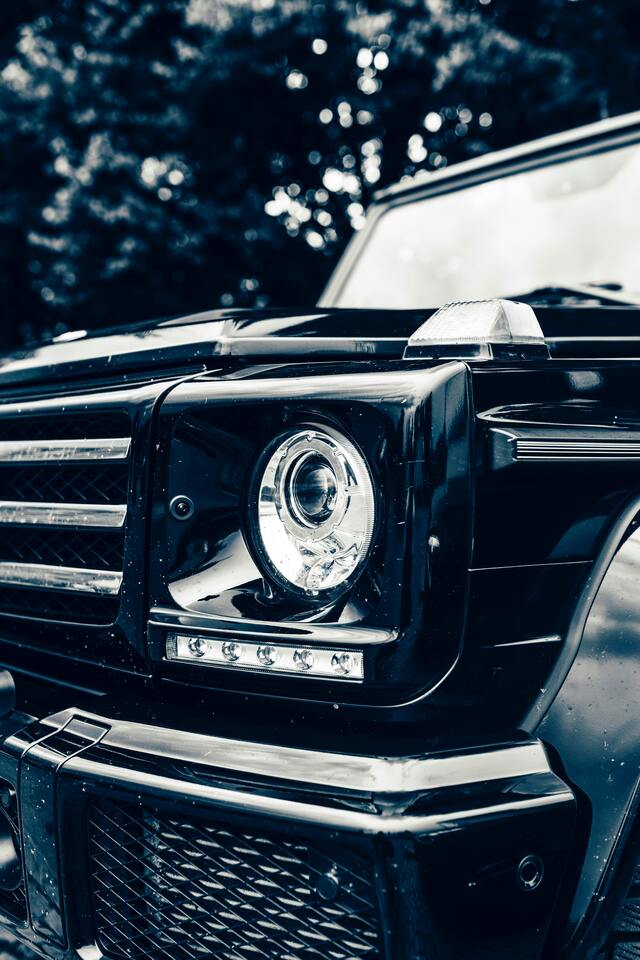 Обои 2025-10-13 №72162